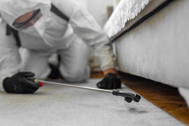 Professional Bed Bug Control technician working in Appomattox County County, VA